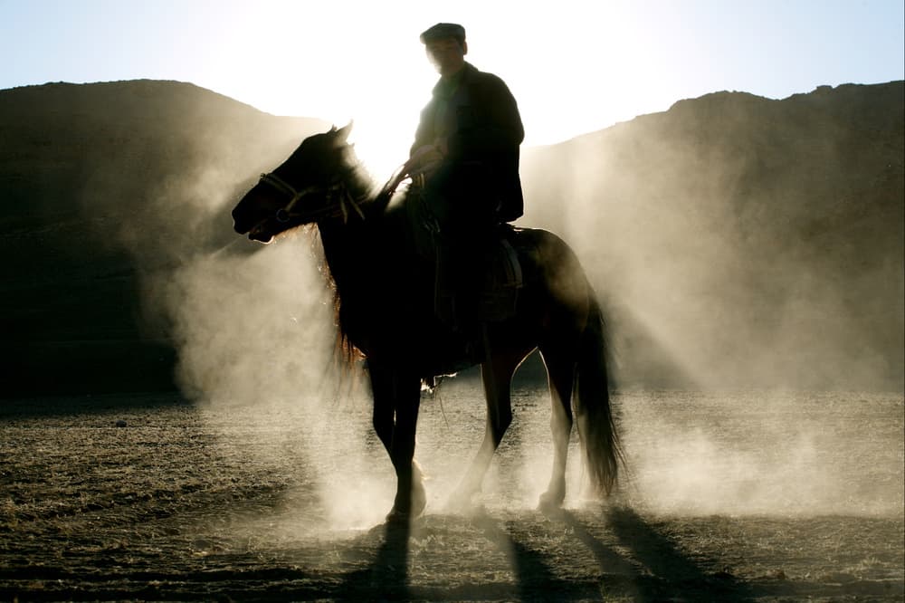Western Rider Dust by Adam Wong — canvas wall art