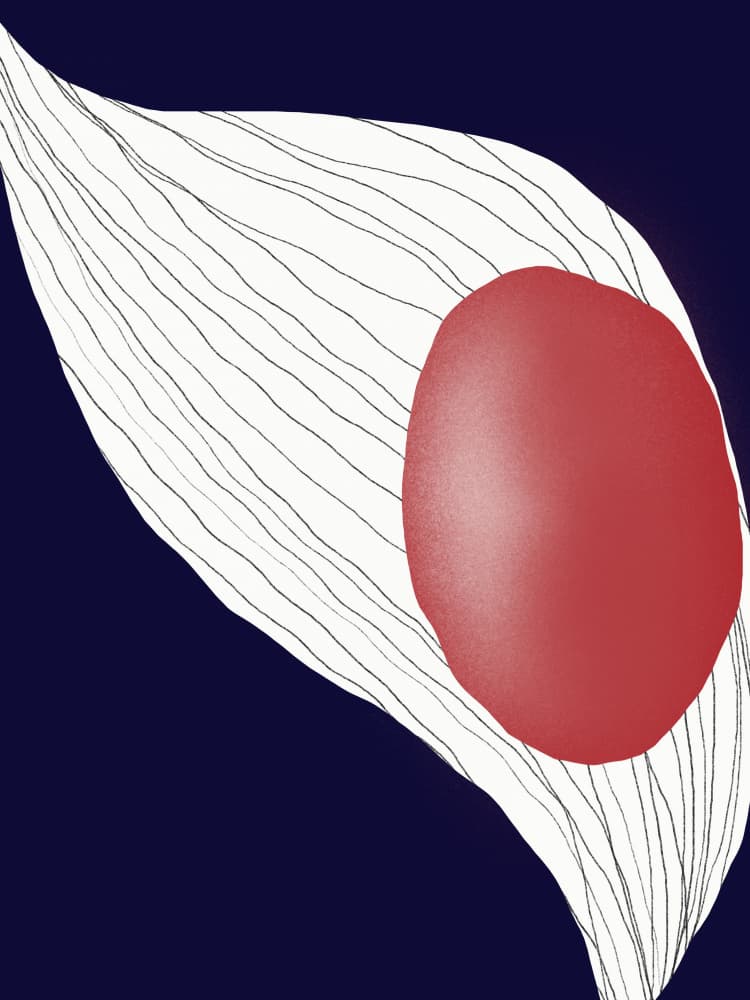 Flowing Lines Red Oval by Little Dean — canvas wall art