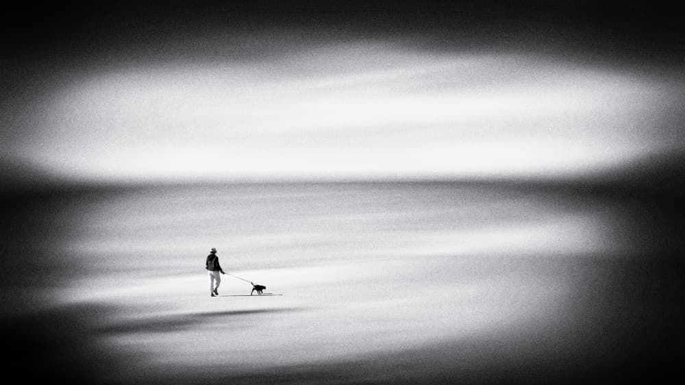 Solitary Beach Walk by Ina Tänzer — canvas wall art