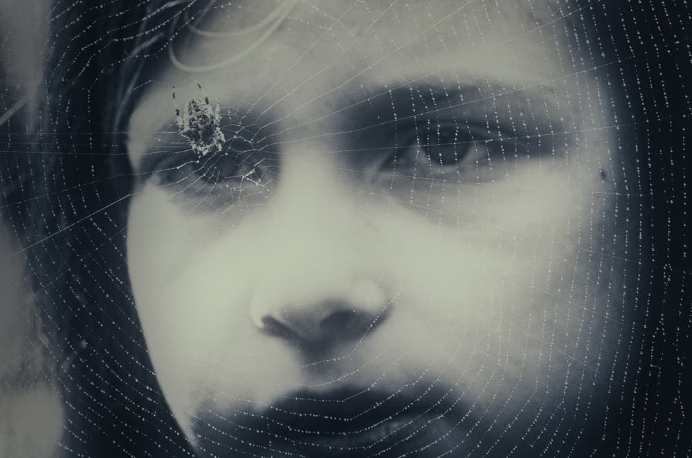 Mysterious Webbed Gaze by Mirjam Delrue — canvas wall art