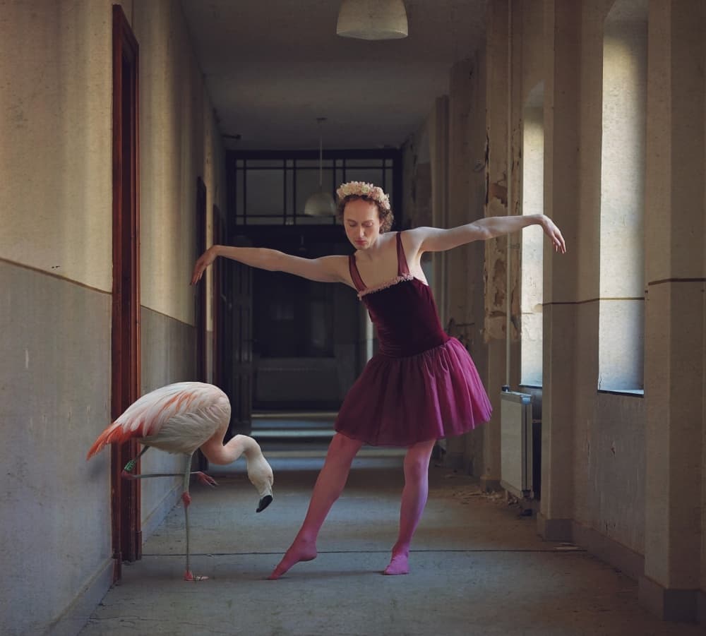 Whimsical Ballerina Pink Flamingo by Monika Vanhercke — canvas wall art