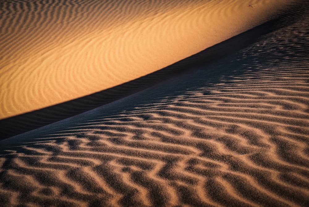 Golden Dune Shadows by Linda Wride — canvas wall art