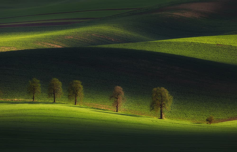 Sunlit Rolling Hills by Tomasz Rojek — canvas wall art