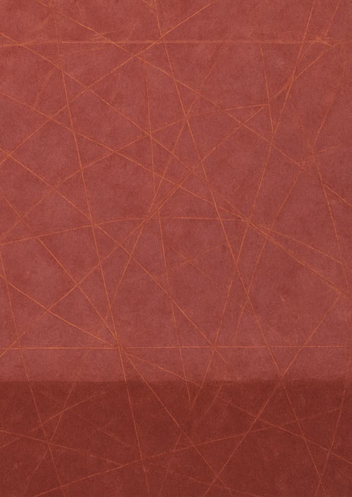 Red Lines by Rikard Martin — canvas wall art