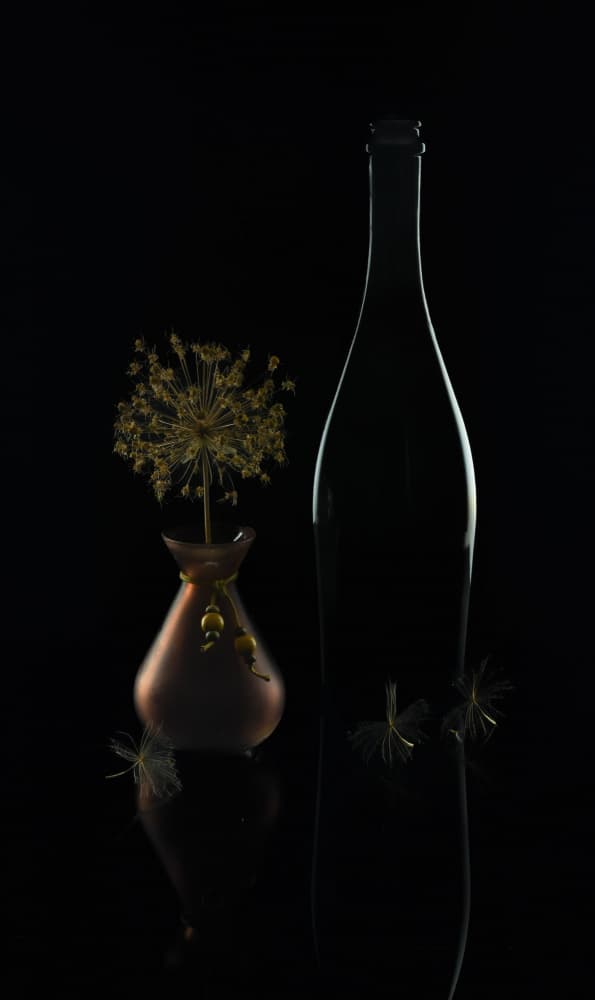 Elegant Dark Still Life by Yuanwei Zuo APA — canvas wall art