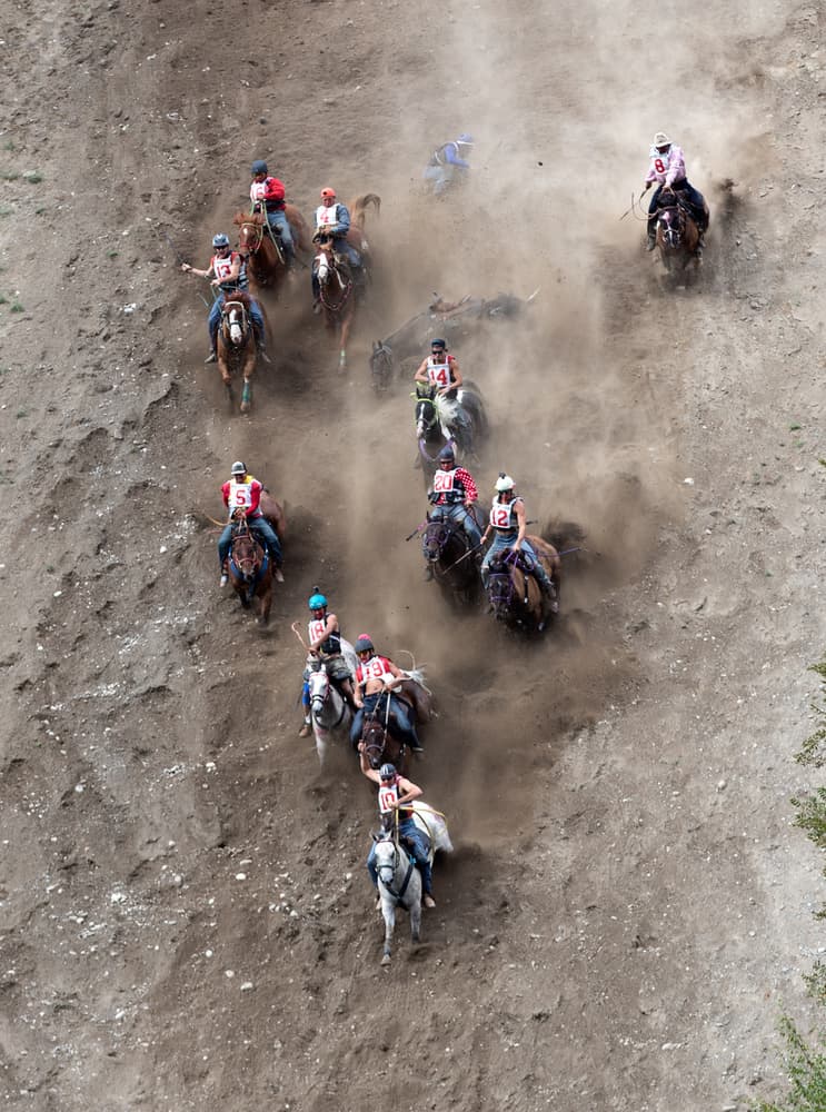 Extreme Horse Race by Cheng Chang — canvas wall art