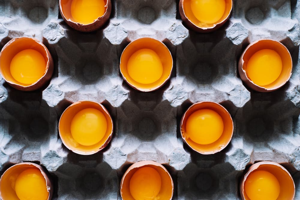 Golden Egg Yolks by Karina Aleksandrova — canvas wall art