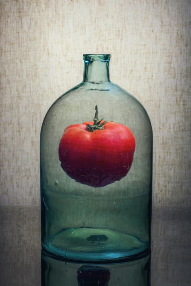 Red Tomato In Bottle by Brig Barkow — canvas wall art