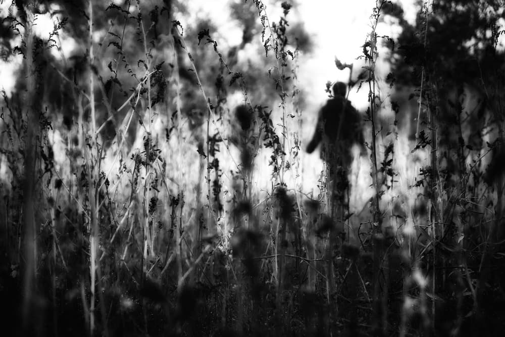 Mysterious Figure Tall Grass by Ali Ayer — canvas wall art