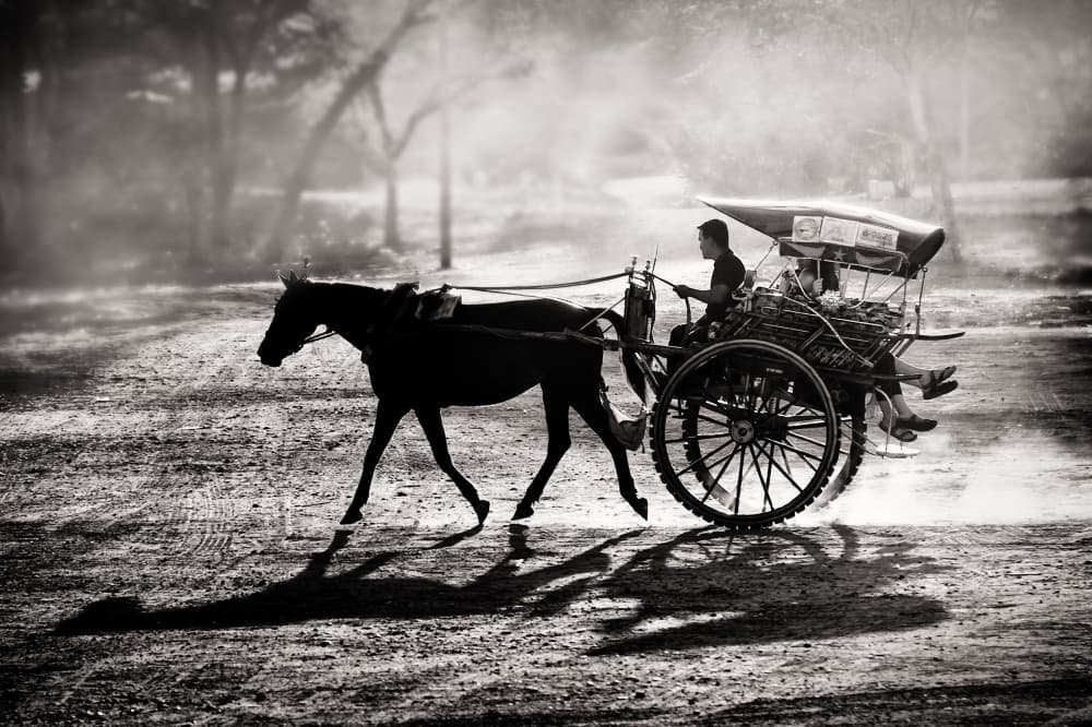Horse Cart Morning Light by Tom Baetsen - xlix.nl — canvas wall art