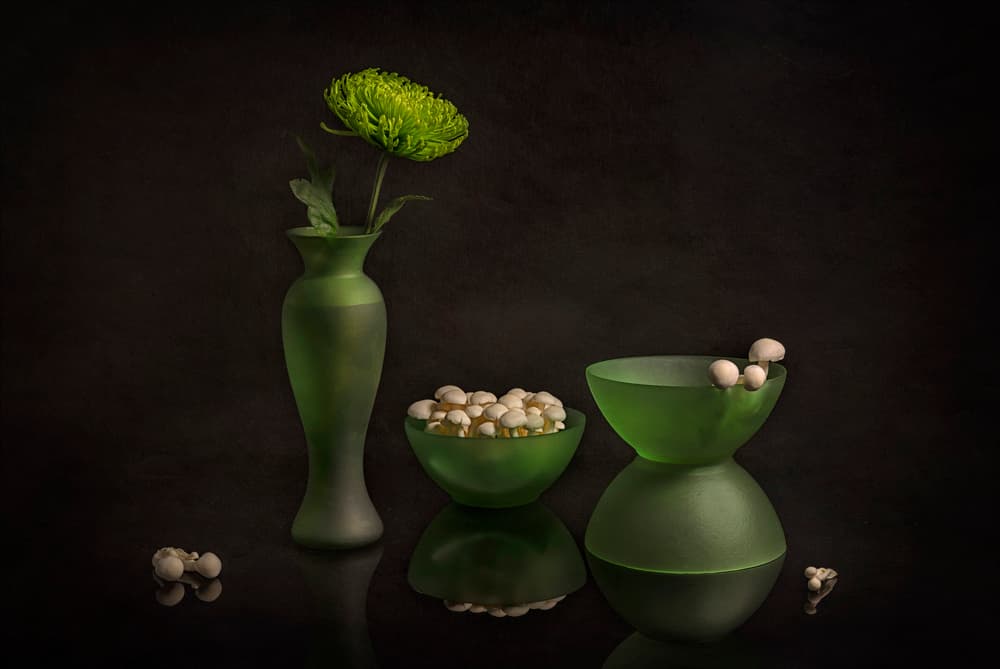 Green Bloom and Glass by Lydia Jacobs — canvas wall art