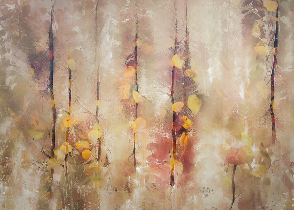 Dreamy colors by Nel Talen — canvas wall art