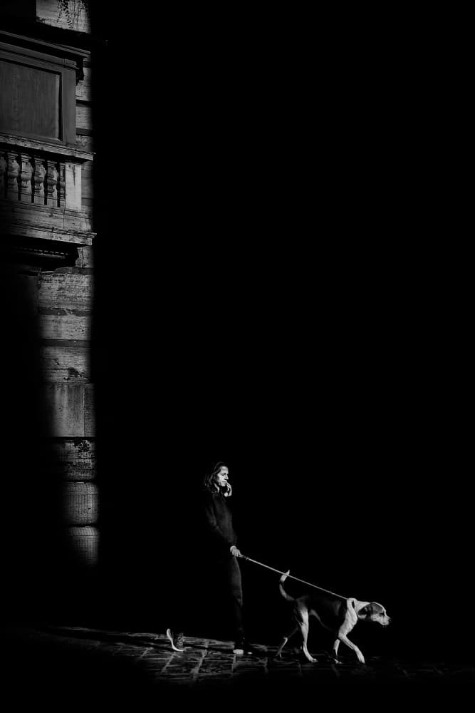 Shadow Walk with Dog by Antonio Grambone — canvas wall art