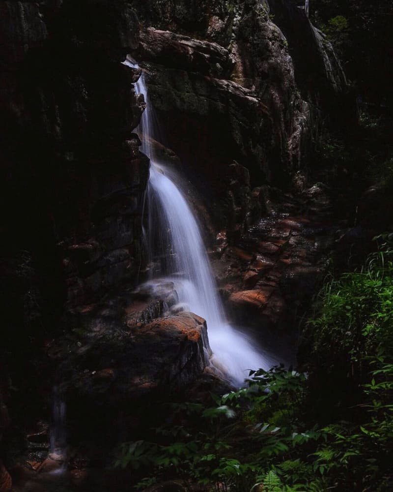 Serene Forest Waterfall by Del Mundo Imagery — canvas wall art