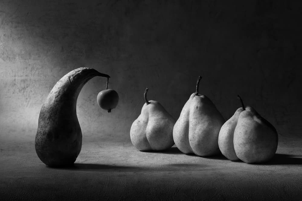 Whimsical Pear Offering by Victoria Glinka — canvas wall art