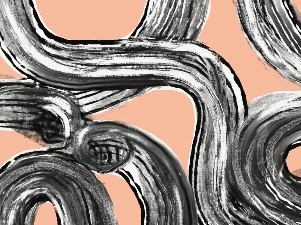 Dynamic Abstract Curves by Little Dean — canvas wall art