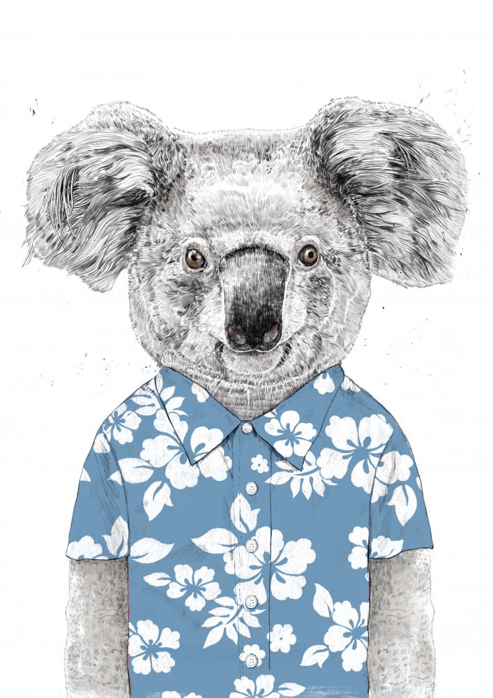Koala in Hawaiian Shirt by Balazs Solti — canvas wall art