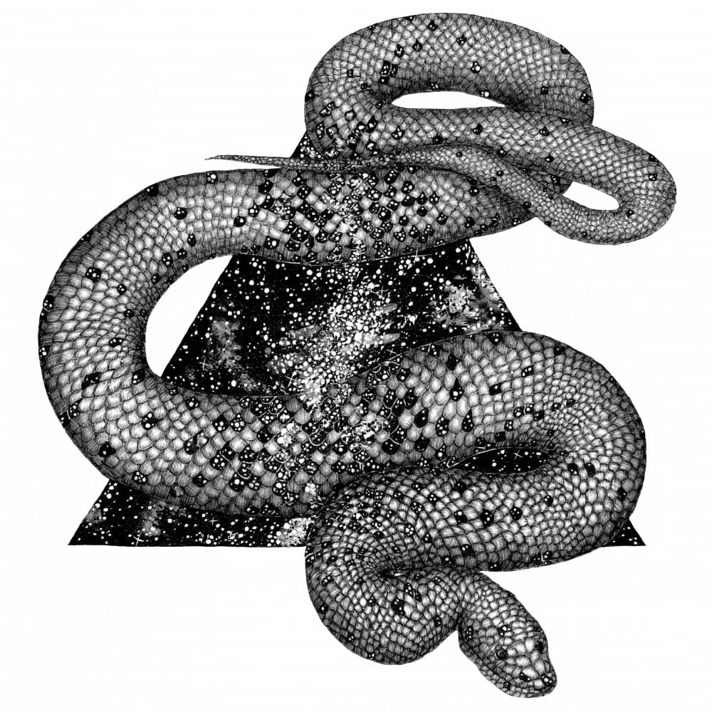 Cosmic Serpent Triangle by EC Mazur — canvas wall art