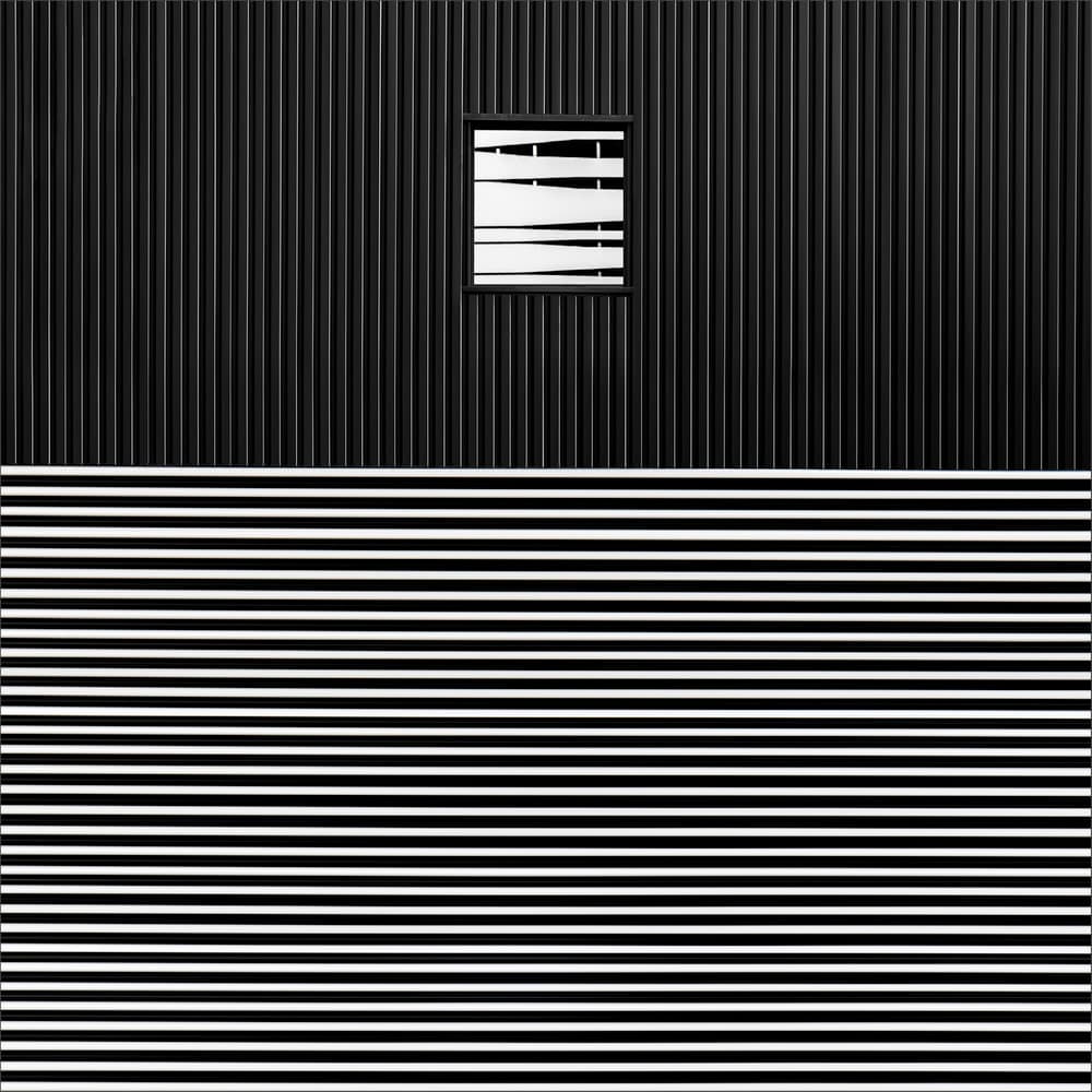 In the land of the blind, “one-eye” is king... by Gilbert Claes — canvas wall art
