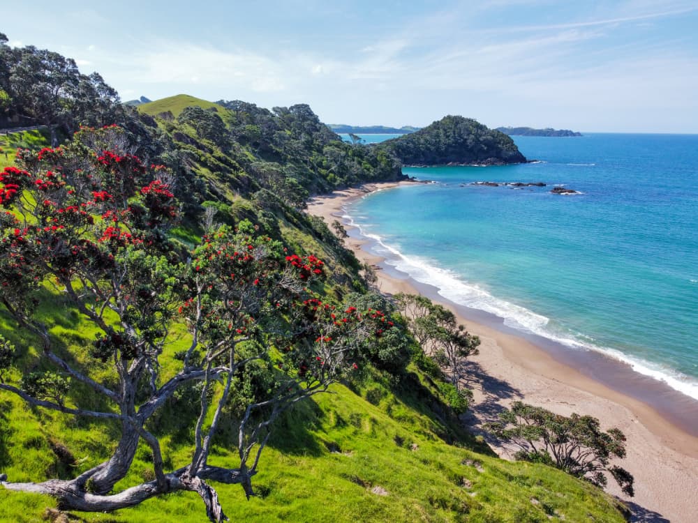 Pohutukawa Lined Bay by Martin Blahák — canvas wall art