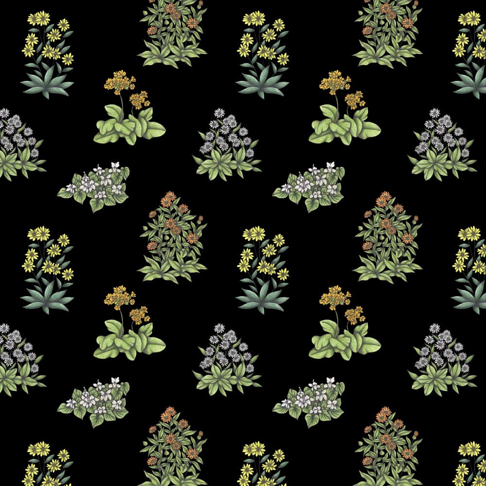 Elegant Floral Pattern by Cecilia Battaini — canvas wall art