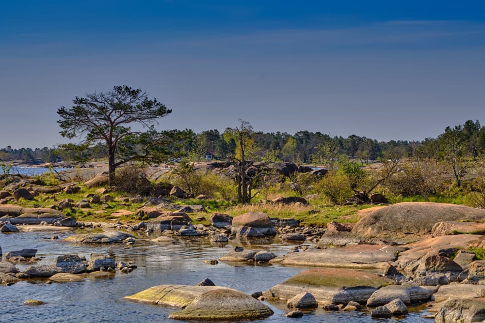 Coastal Rock Reflections by Geertjan Plooijer — canvas wall art