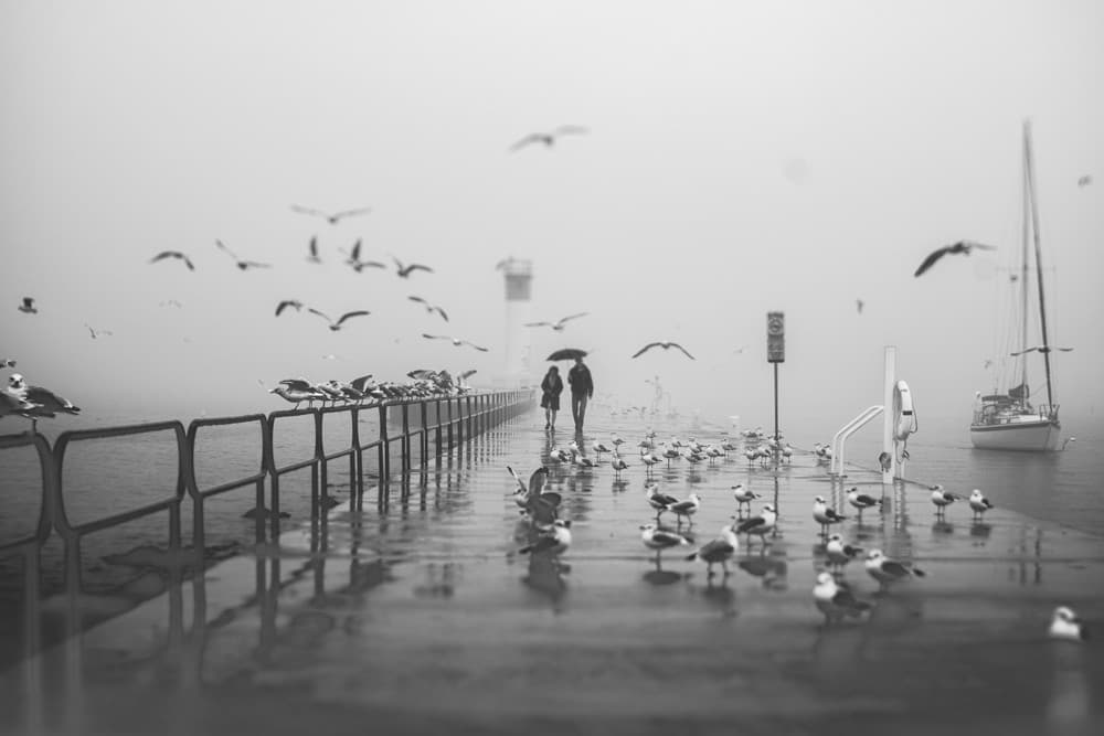 Couple Walking Foggy Pier by Cindy Liu — canvas wall art