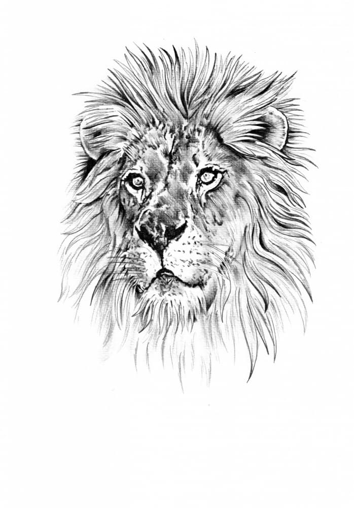 Majestic Lion Head by Kulik — canvas wall art