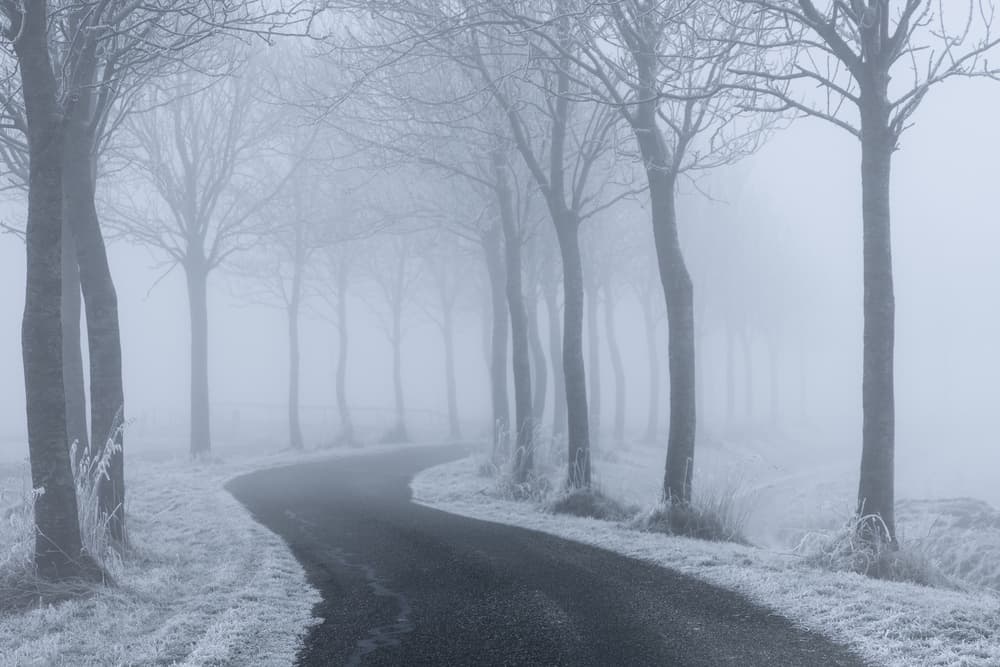 Foggy Winter Road by Jacob Tuinenga — canvas wall art