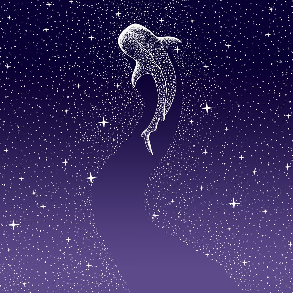 Star Eater Dark Blue To Purple Grad by Alirıza ÇAKIR — canvas wall art