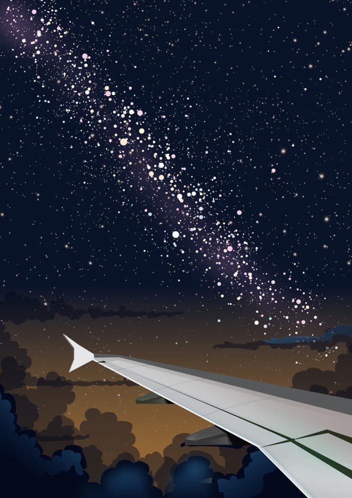 Starry Night Flight by Nicholas — canvas wall art