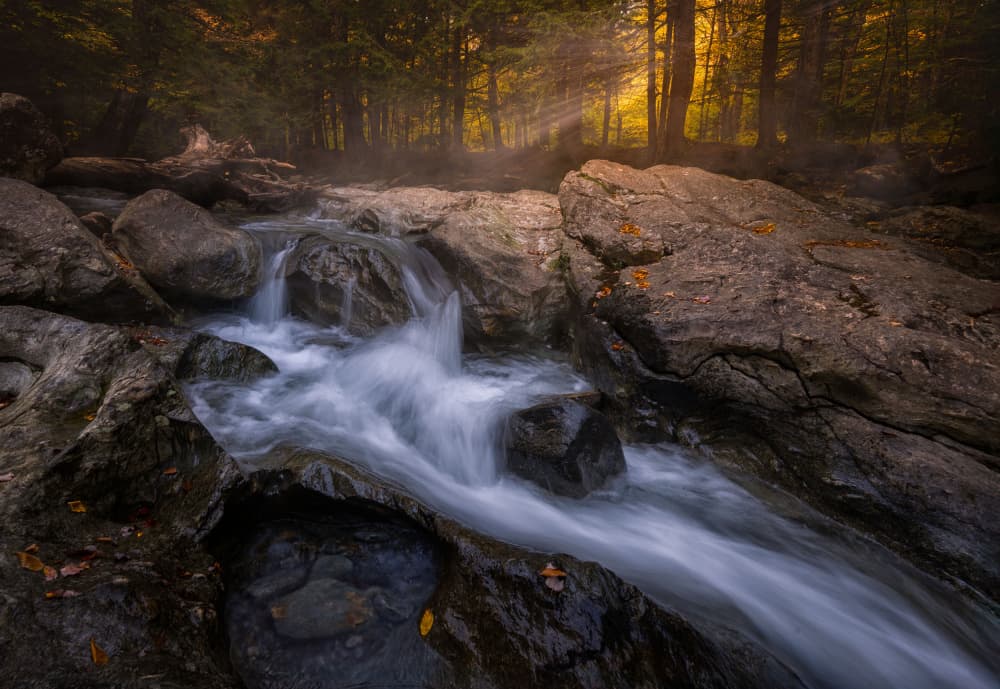 Misty Autumn Forest Stream by Larry Deng APA — canvas wall art