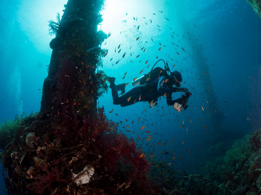 Underwater Pillars And Diver by Ilan Ben Tov — canvas wall art