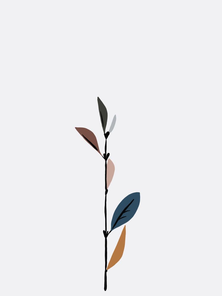 Minimalist Botanical Stem by Stephanie Klatt — canvas wall art