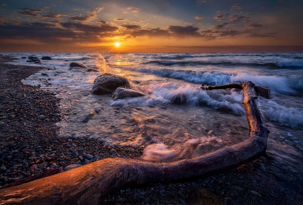 Driftwood at Golden Sunset by Ben.C.L — canvas wall art