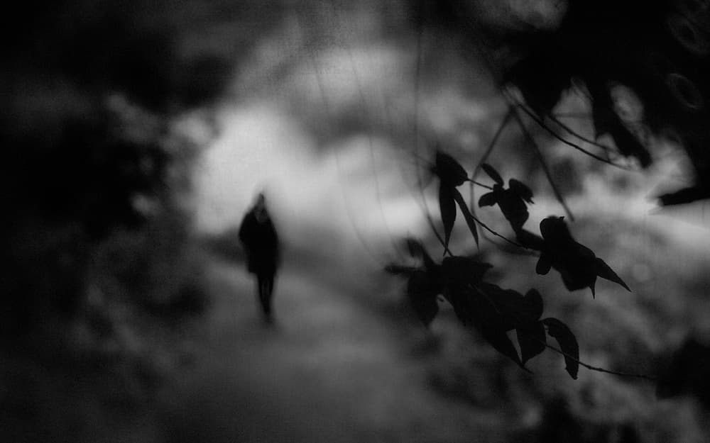 Lonely Figure In Mist by Teruhiko Tsuchida — canvas wall art
