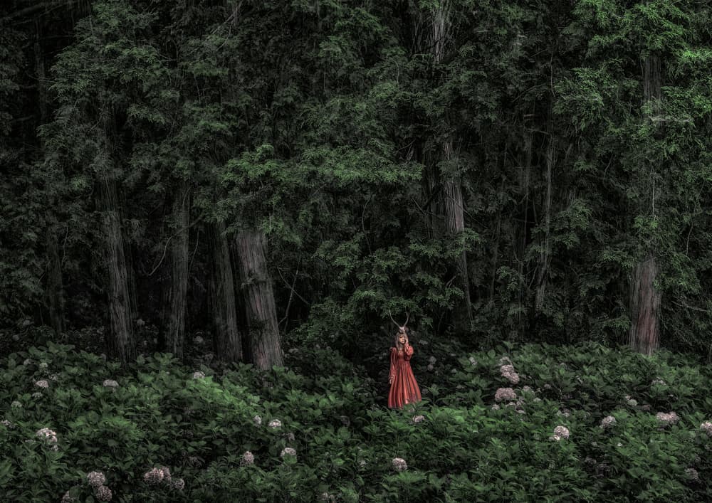 Enchanted Forest Spirit by KOIKI — canvas wall art
