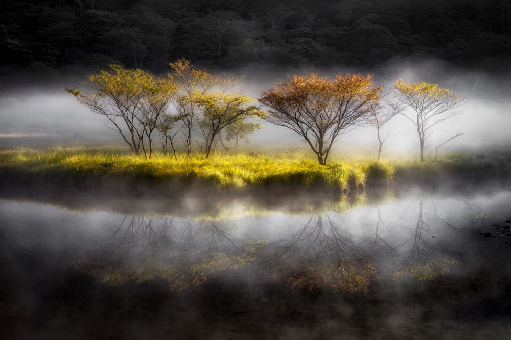 Golden Trees Misty Lake by Akira Nagase — canvas wall art