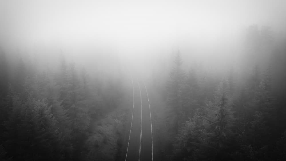Misty Forest Road by Gerald Macua — canvas wall art