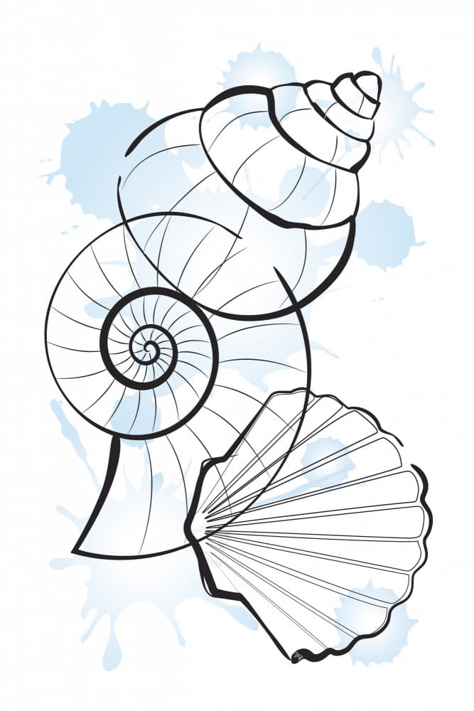 Seashells Blue Splashes by Martina — canvas wall art