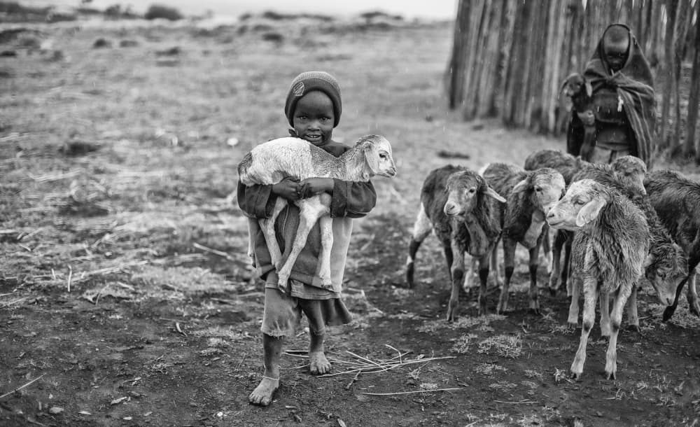 African Child with Lamb by Goran Jovic — canvas wall art