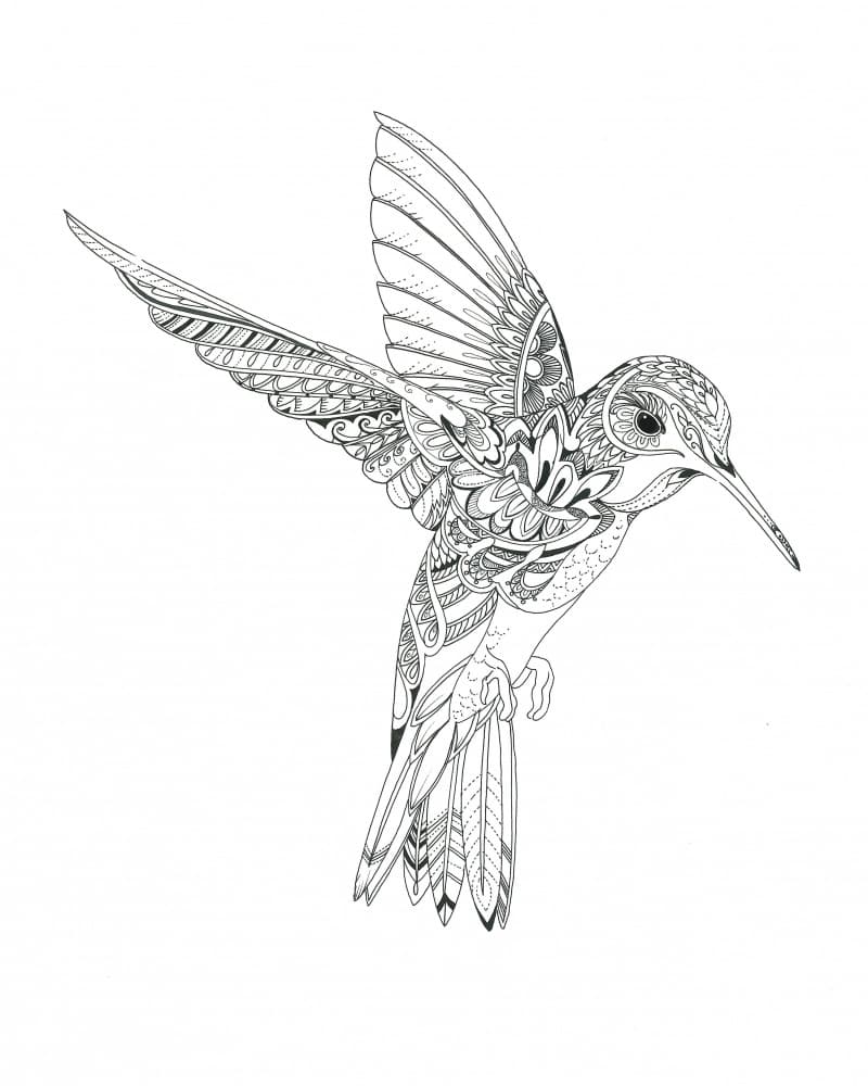 Hummingbird by Isabelle Brent — canvas wall art