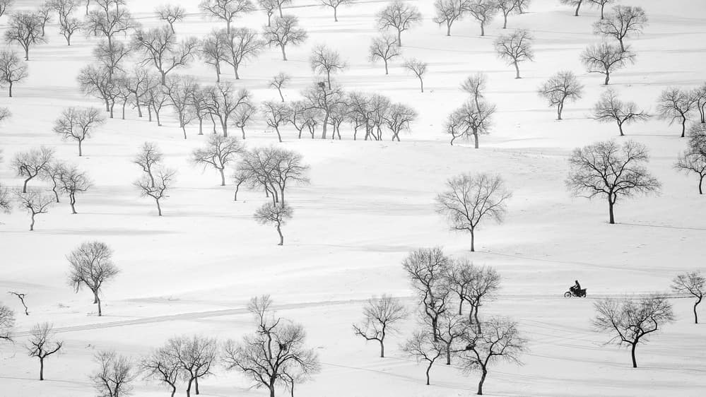 Winter Landscape Solitude by Bingo Z — canvas wall art