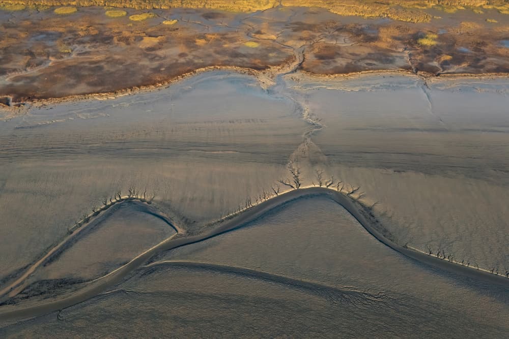 Aerial Estuary Patterns by Aidong Ning — canvas wall art
