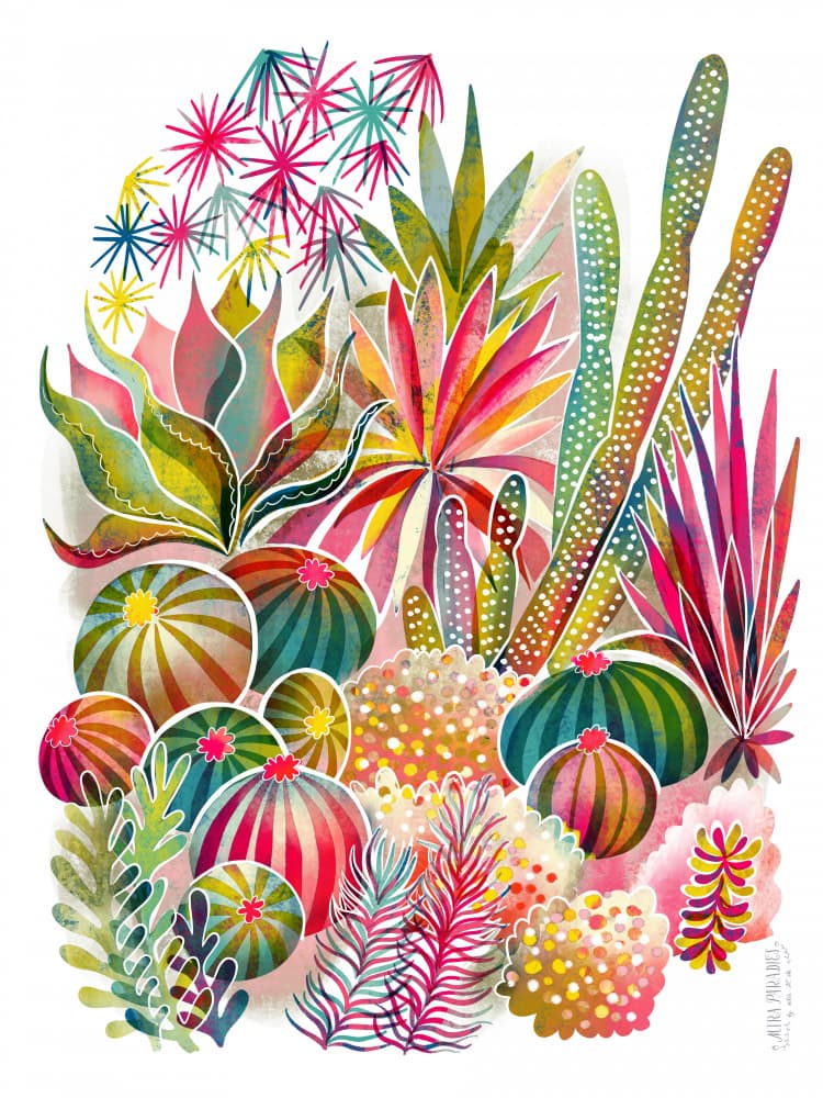 Vibrant Cactus Garden by uta krogmann — canvas wall art