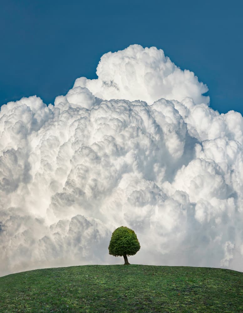 Solitary Tree Majestic Clouds by Christian Lindsten — canvas wall art