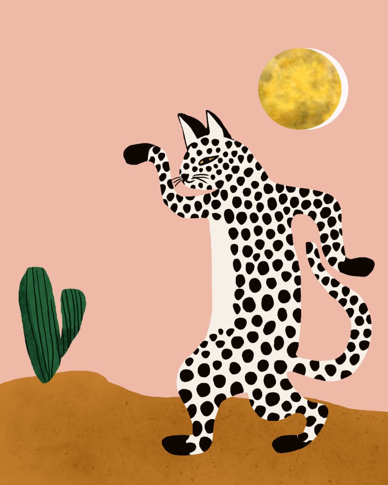 Dancing Desert Leopard by Uma Gokhale — canvas wall art