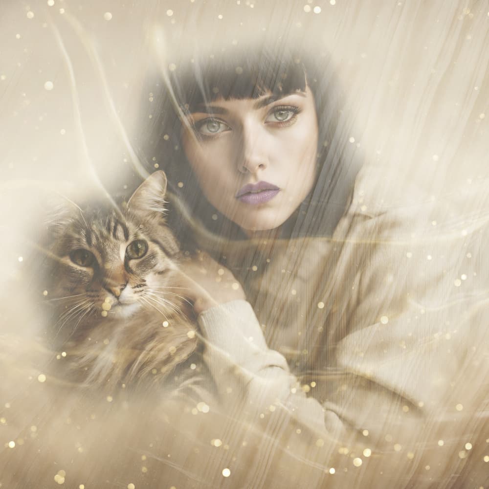 Woman Cat Golden Glow by Ewa Całkosińska-Kajzer — canvas wall art