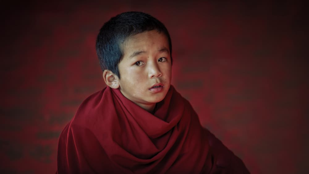 Young Monk Portrait by tianhuayu — canvas wall art
