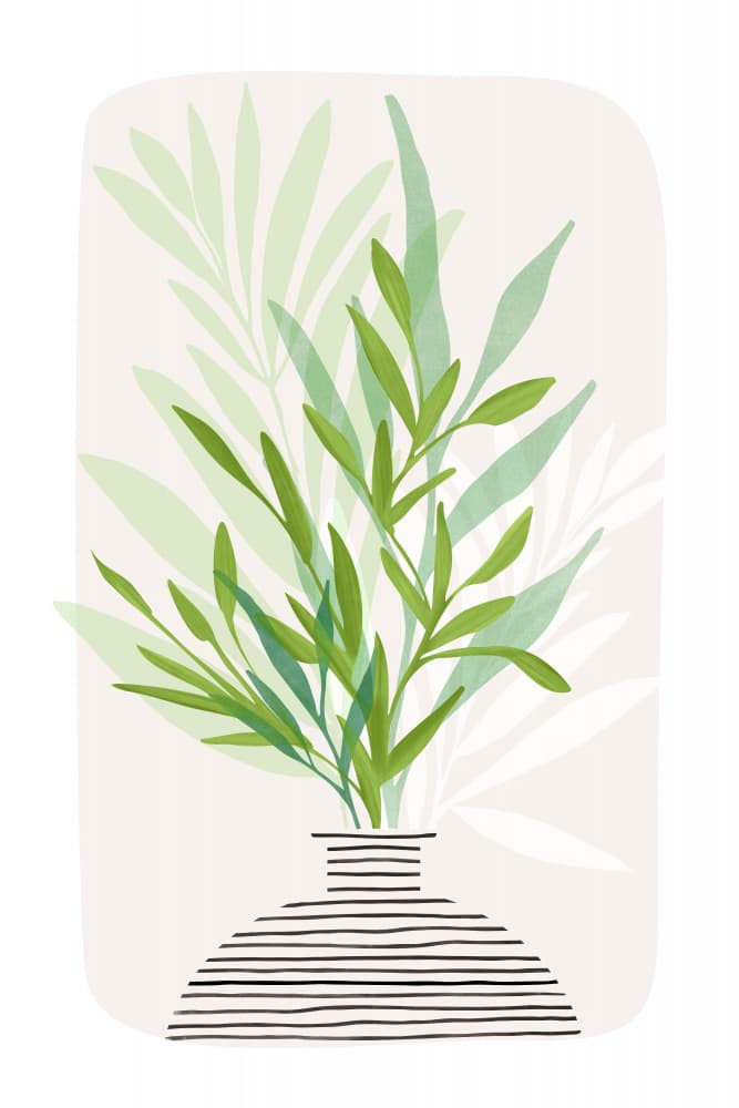 Painted Olive Branch Still Life by Kristian Gallagher — canvas wall art